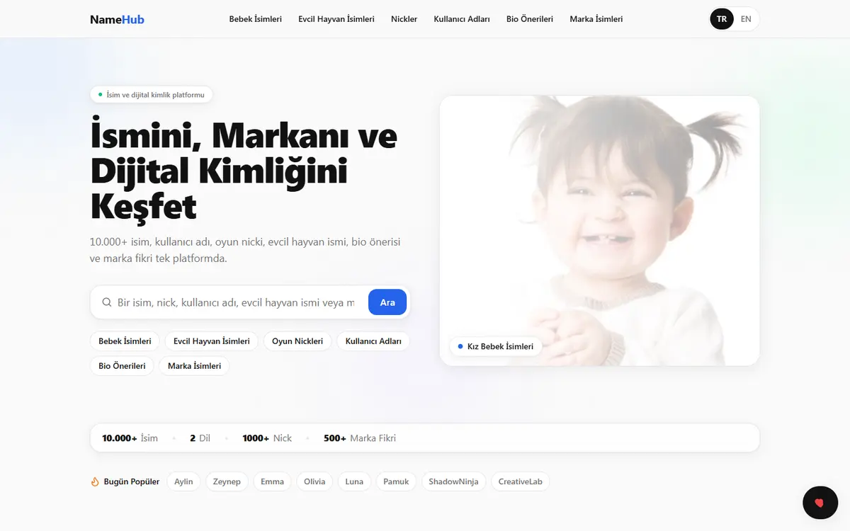 NameHub home page